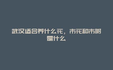 武汉适合养什么花，市花和市树是什么