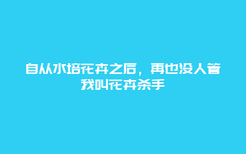 自从水培花卉之后，再也没人管我叫花卉杀手