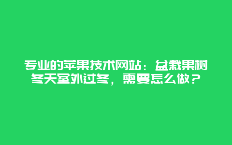 专业的苹果技术网站：盆栽果树冬天室外过冬，需要怎么做？