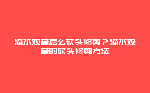 滴水观音怎么砍头修剪？滴水观音的砍头修剪方法