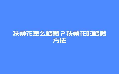 扶桑花怎么移栽？扶桑花的移栽方法