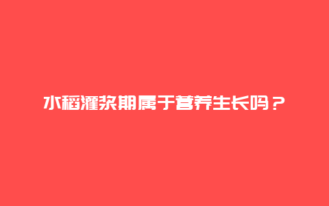 水稻灌浆期属于营养生长吗？