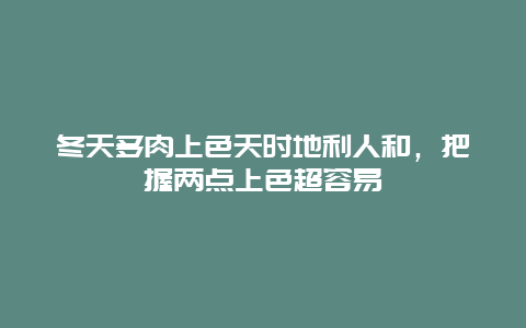 冬天多肉上色天时地利人和，把握两点上色超容易