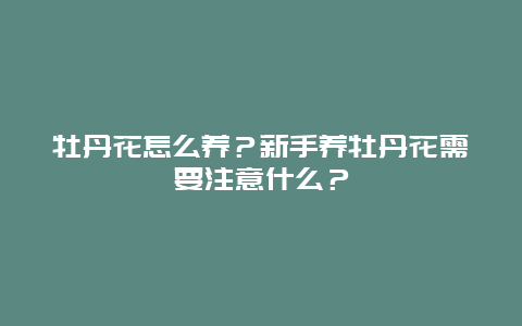 牡丹花怎么养？新手养牡丹花需要注意什么？