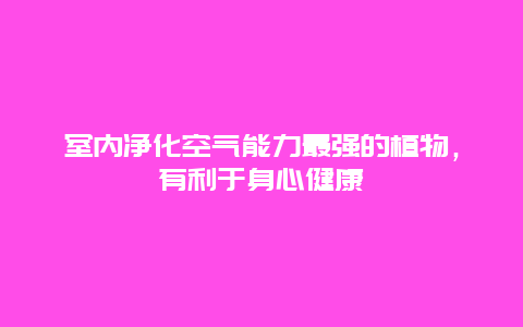 室内净化空气能力最强的植物，有利于身心健康