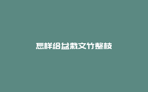 怎样给盆栽文竹整枝