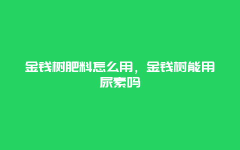 金钱树肥料怎么用，金钱树能用尿素吗