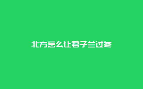 北方怎么让君子兰过冬