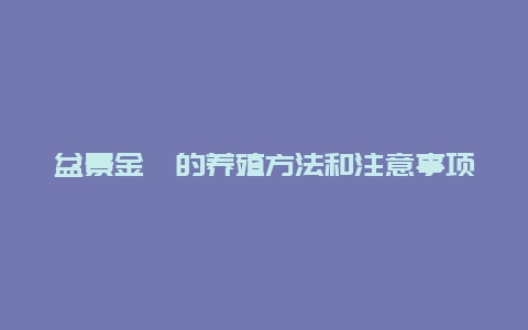 盆景金桔的养殖方法和注意事项