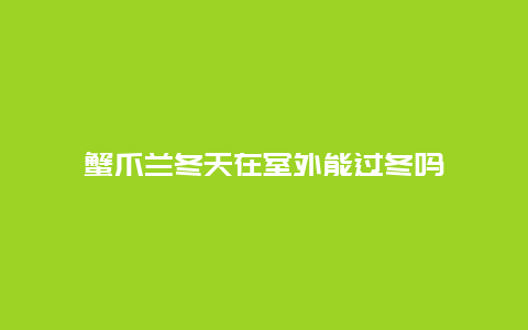 蟹爪兰冬天在室外能过冬吗