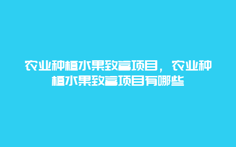 农业种植水果致富项目，农业种植水果致富项目有哪些