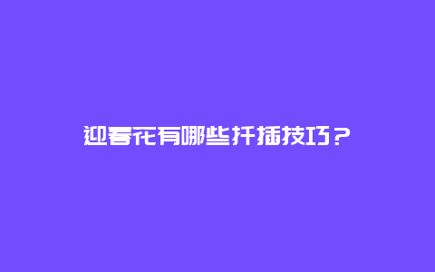 迎春花有哪些扦插技巧？