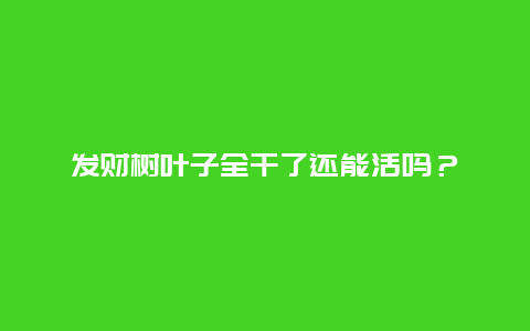 发财树叶子全干了还能活吗？