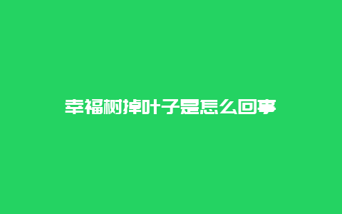 幸福树掉叶子是怎么回事