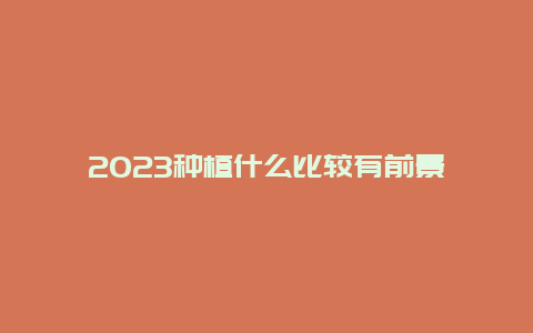 2023种植什么比较有前景_http://www.zhongzhihu.com_水果种植_第1张