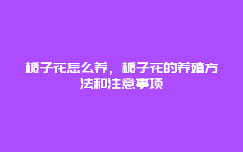 栀子花怎么养，栀子花的养殖方法和注意事项