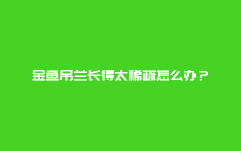 金鱼吊兰长得太稀疏怎么办？