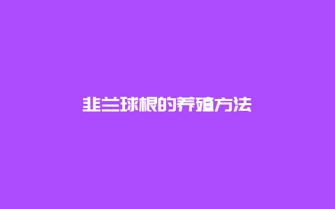 韭兰球根的养殖方法