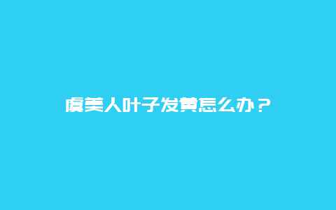 虞美人叶子发黄怎么办？