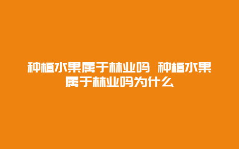 种植水果属于林业吗 种植水果属于林业吗为什么