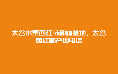 太谷水果西红柿种植基地，太谷西红柿产地电话