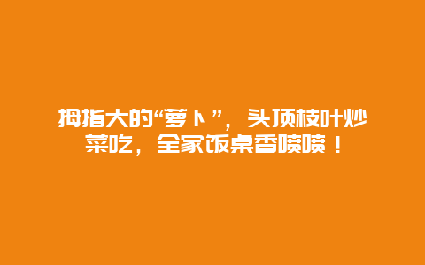 拇指大的“萝卜”，头顶枝叶炒菜吃，全家饭桌香喷喷！