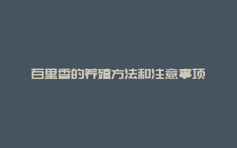 百里香的养殖方法和注意事项