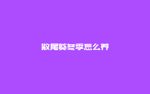 散尾葵冬季怎么养