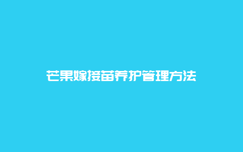 芒果嫁接苗养护管理方法