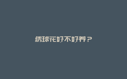 绣球花好不好养？