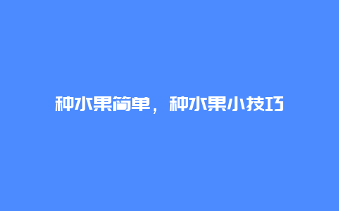 种水果简单，种水果小技巧