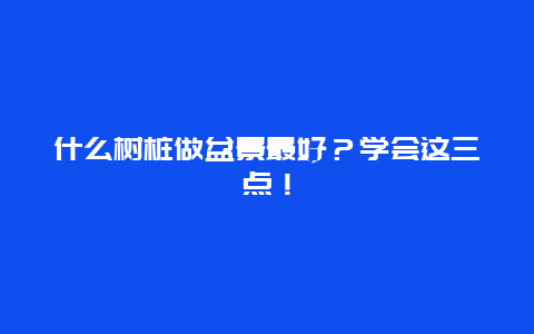 什么树桩做盆景最好？学会这三点！