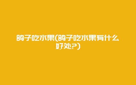 鸽子吃水果(鸽子吃水果有什么好处?)