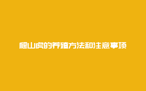 爬山虎的养殖方法和注意事项