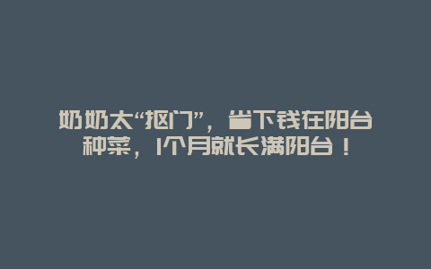 奶奶太“抠门”，省下钱在阳台种菜，1个月就长满阳台！