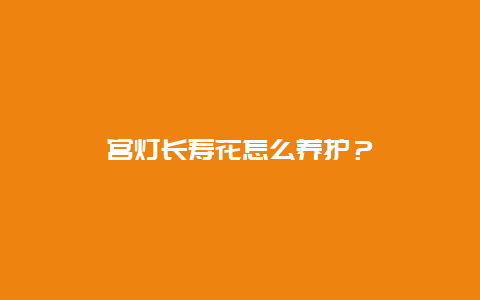 宫灯长寿花怎么养护？