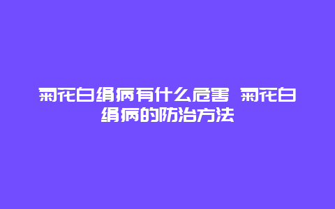 菊花白绢病有什么危害 菊花白绢病的防治方法