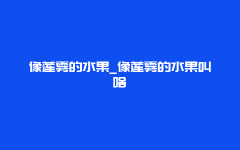 像莲雾的水果_像莲雾的水果叫啥