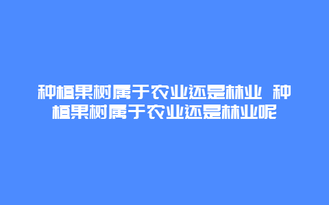 种植果树属于农业还是林业 种植果树属于农业还是林业呢