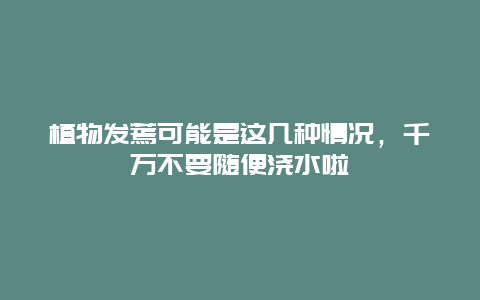 植物发蔫可能是这几种情况，千万不要随便浇水啦