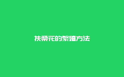 扶桑花的繁殖方法