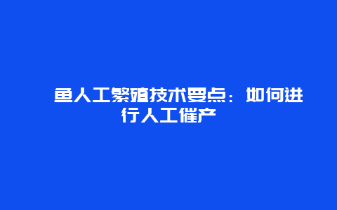 鳜鱼人工繁殖技术要点：如何进行人工催产