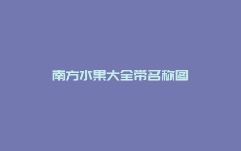 南方水果大全带名称图