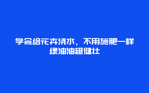 学会给花卉浇水，不用施肥一样绿油油超健壮