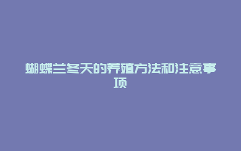 蝴蝶兰冬天的养殖方法和注意事项