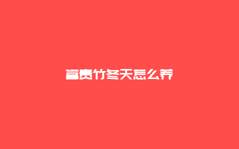 富贵竹冬天怎么养