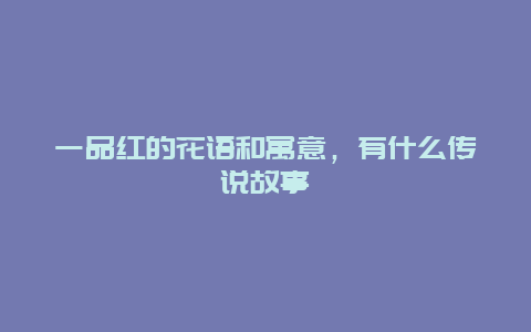 一品红的花语和寓意，有什么传说故事