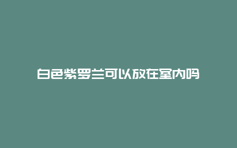 白色紫罗兰可以放在室内吗