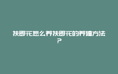 扶郎花怎么养扶郎花的养殖方法？