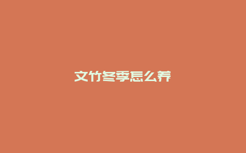 文竹冬季怎么养